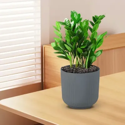 2 ghivece de plantat vase cu găuri de drenaj ghivece decorative de flori gri