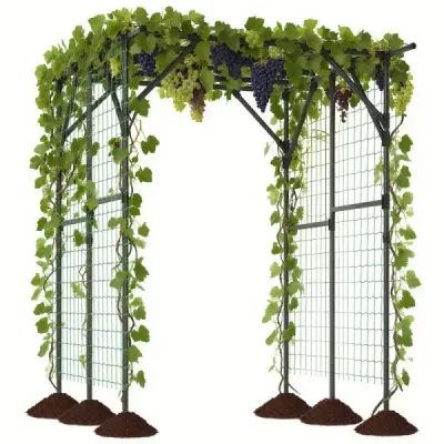 Grila de ranking pentru plante alpinism Ajutor Rank arc Torbogen Garden arc 200 x 150 x 197 cm
