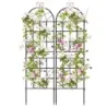 2 Set Metal Ranking Grid Freestanding Garden gard pentru conectarea Spalier 180 x 50 cm Negru