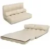 canapea extensibilă cu 2 perne canapea extensibilă cu 6 buc Suport reglabil 180 x 113 x 10 cm
