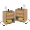 2er Set Nachttisch mit LED-Lichtern und Ladestation Beistelltisch Ratten mit Offenem Fach