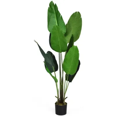 Ridichea la pământ Ridiche verde la sol 160 cm Palmier tropical