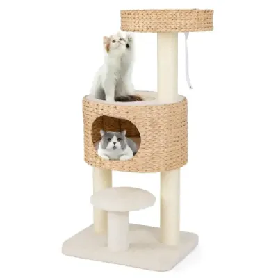 Scratch cu pestera pisica 104 cm copac pisica de mare cu bara de scaun & platforma Beige+Natur
