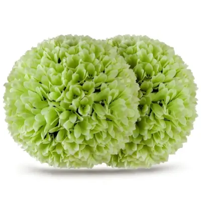 2er Buchsbaumkugel - bile decorative rezistente la UV Taie forma Planta de Arta Dekoflanze Ø28 cm Verde