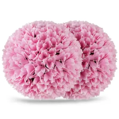 2er Buchsbaumkugel - bile decorative rezistente la UV Ø28 cm Rosa